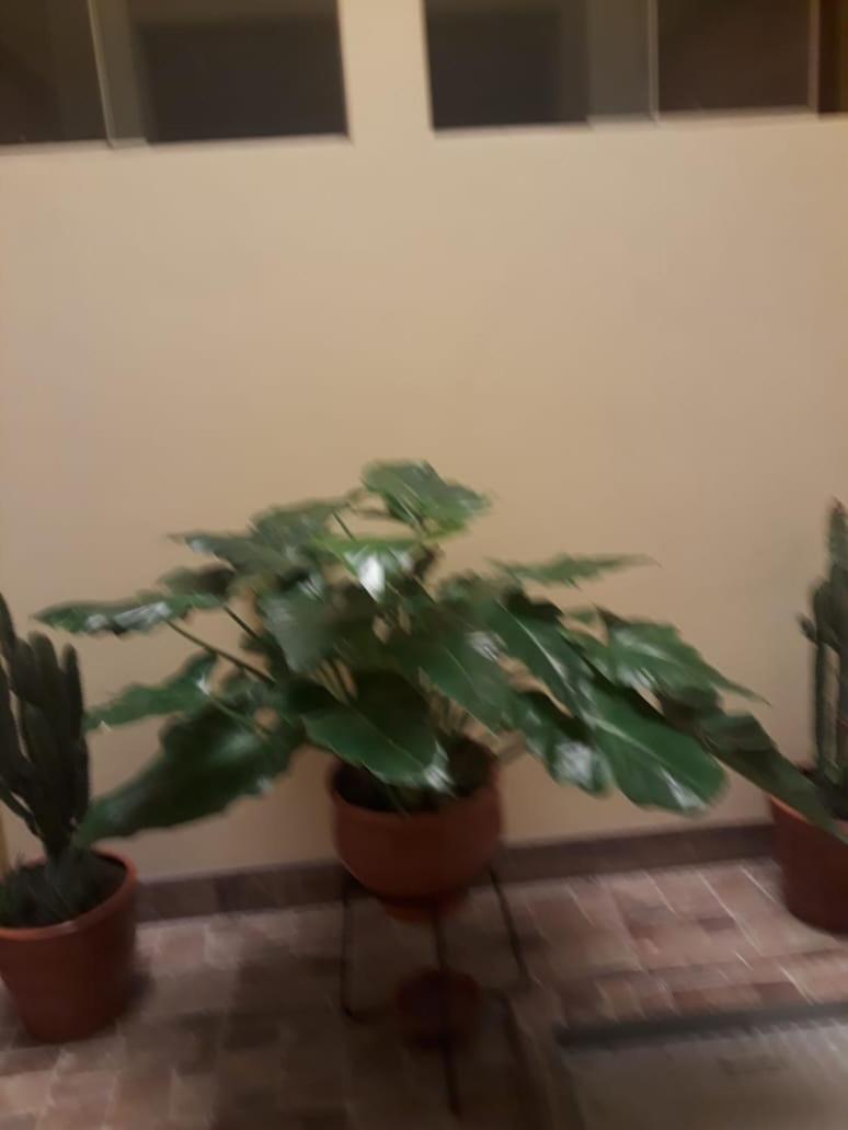 El Marquez Hotel Tacna Luaran gambar